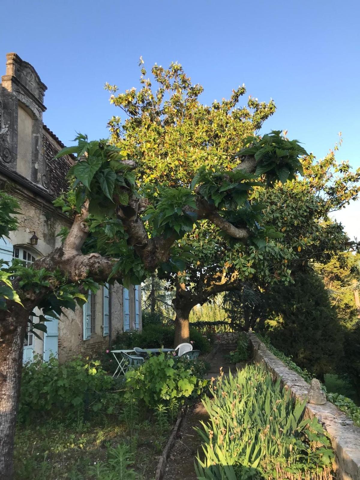 Petite Maison De Famille De Charme En Vallee Du Lot Ξενοδοχείο Ledat Εξωτερικό φωτογραφία